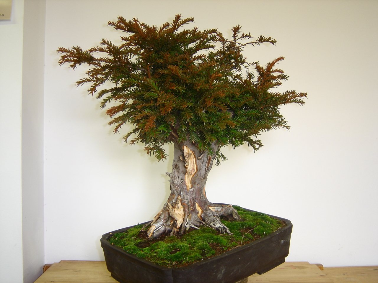 Photo 27