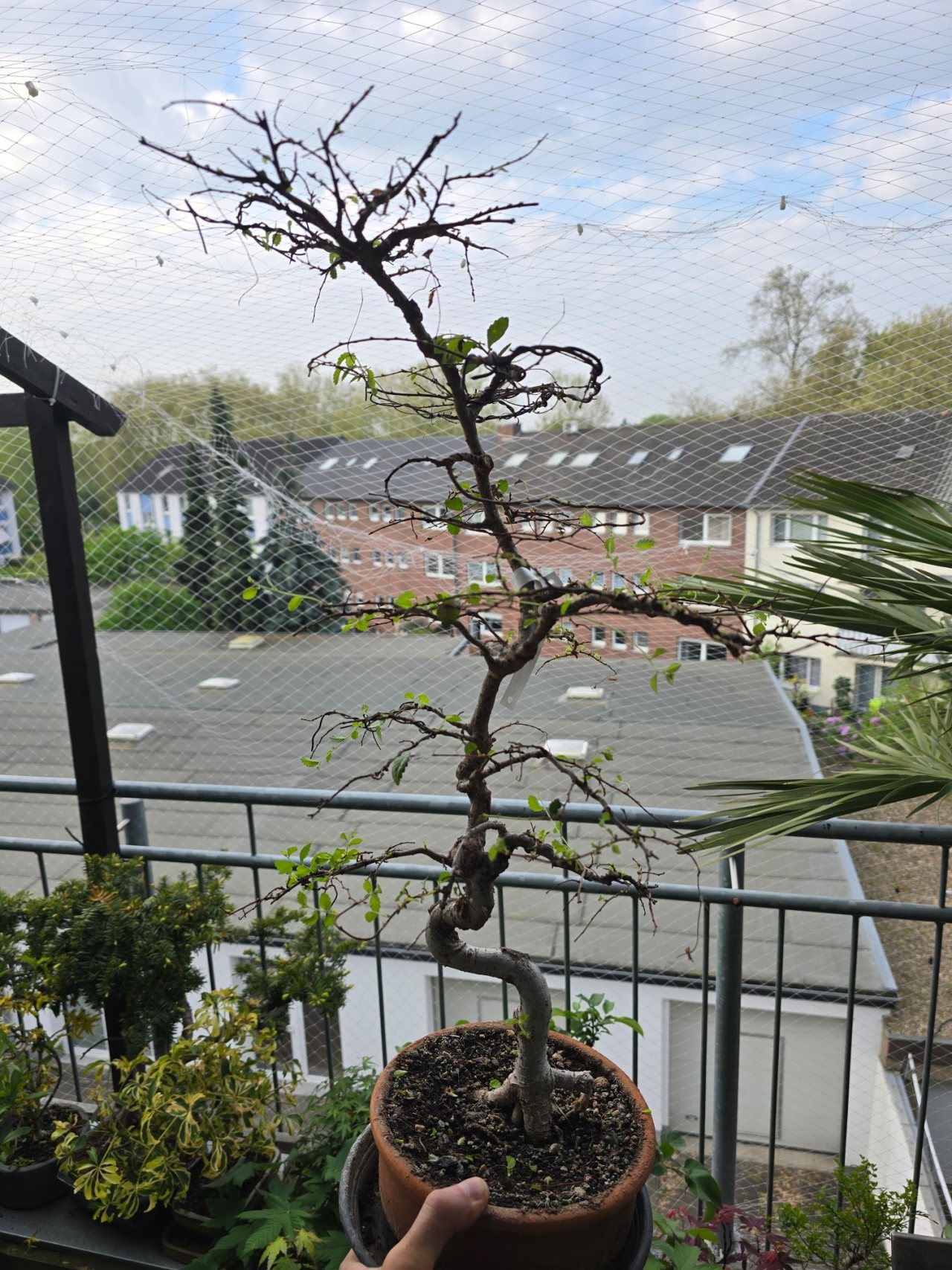 Photo 22