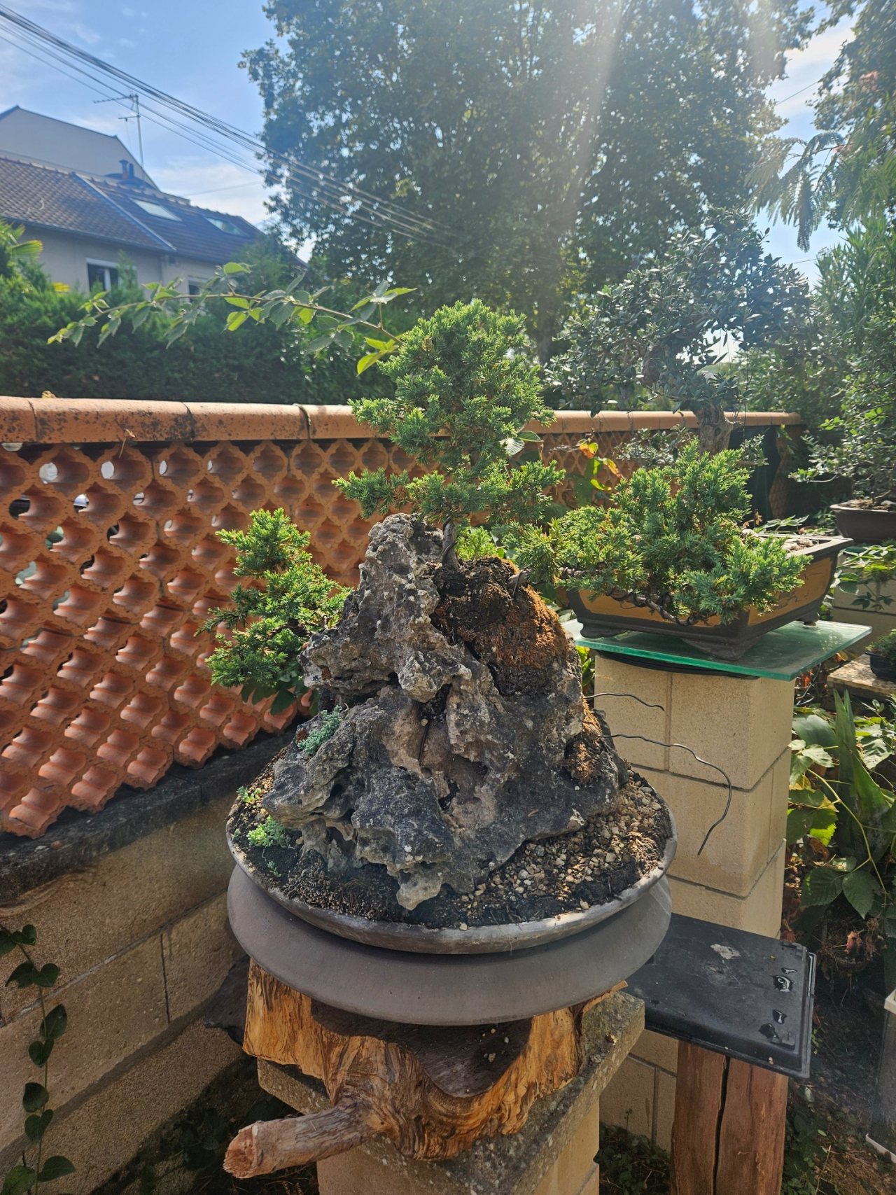 Photo 16