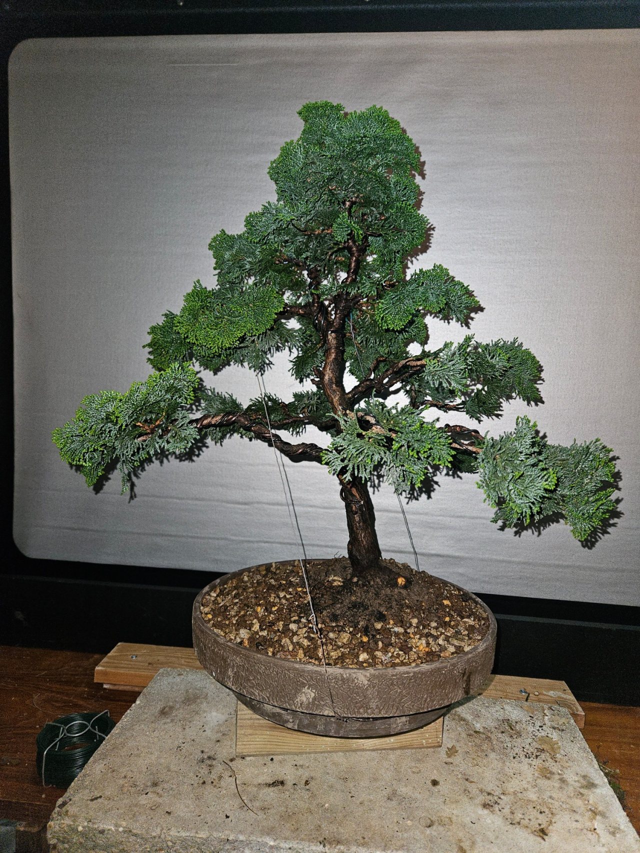 Photo 8
