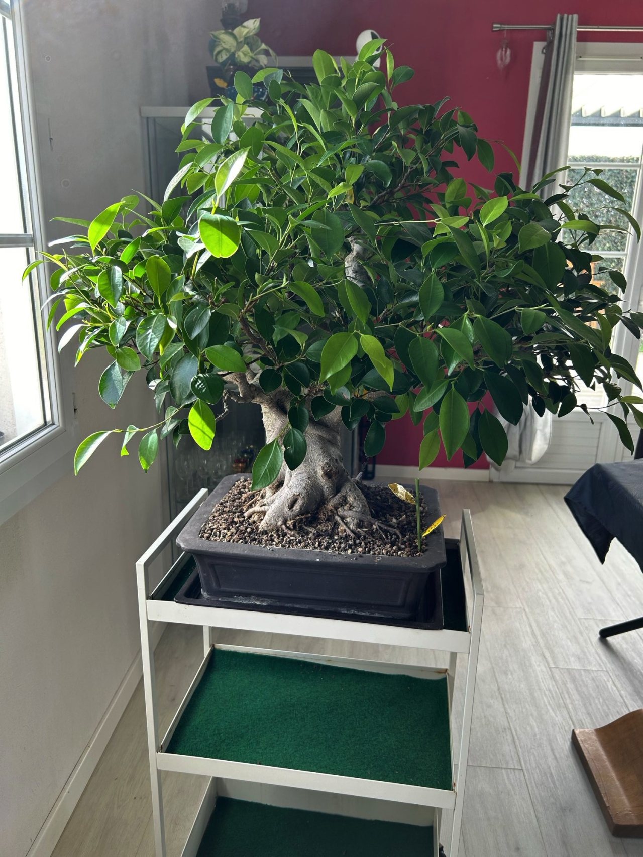 Photo 2