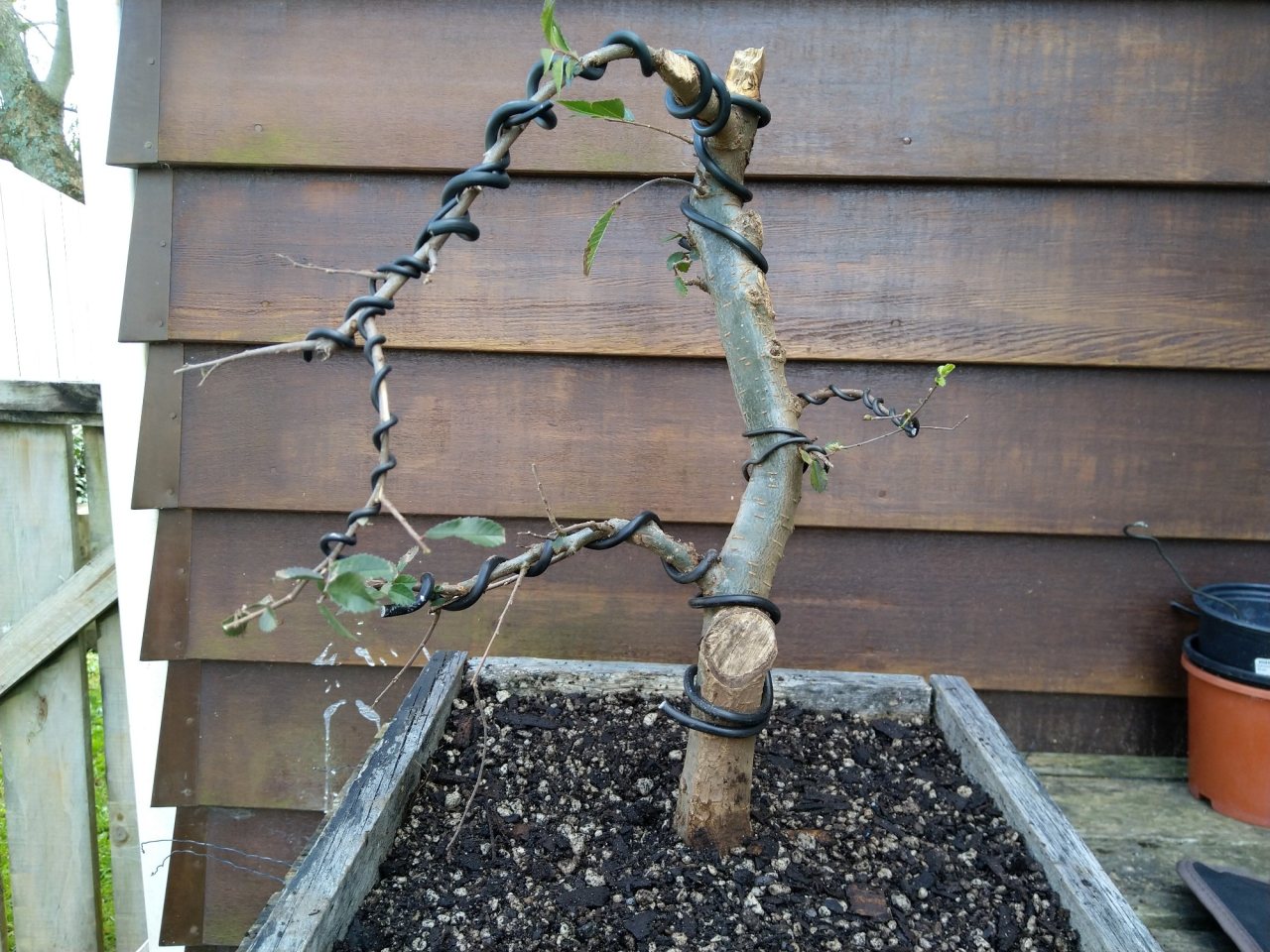 Photo 4