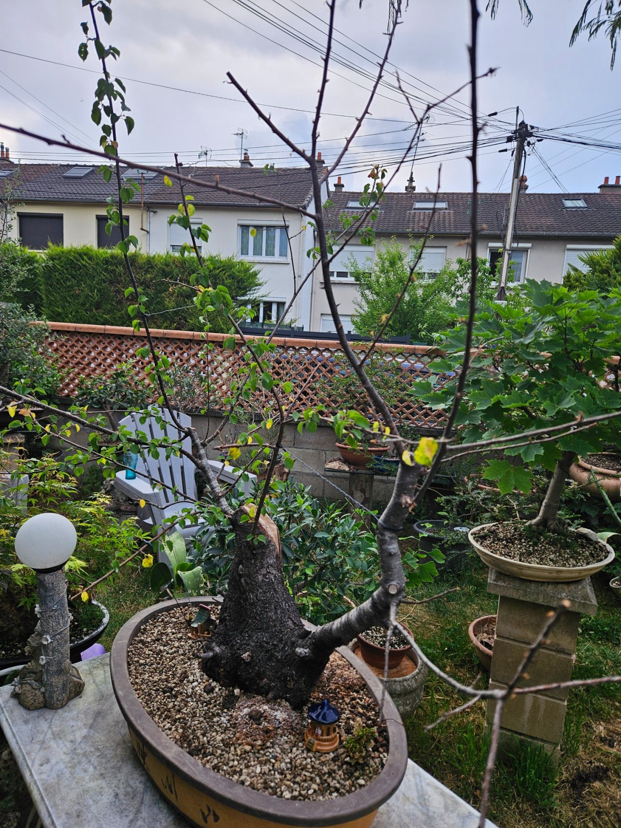 Photo 26