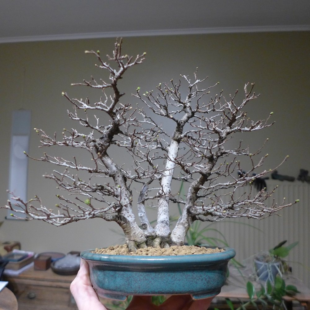 Photo 20