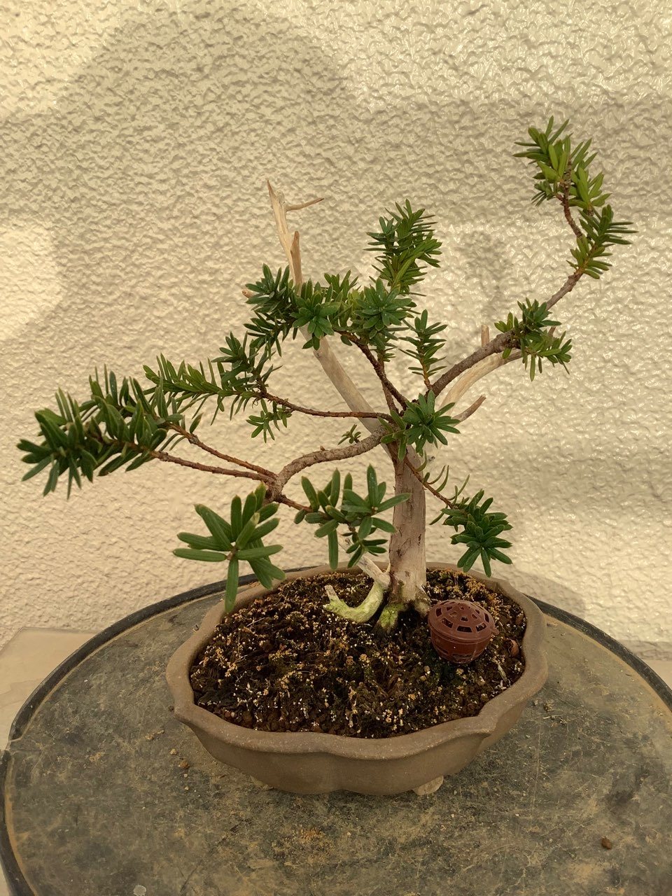 Photo 13