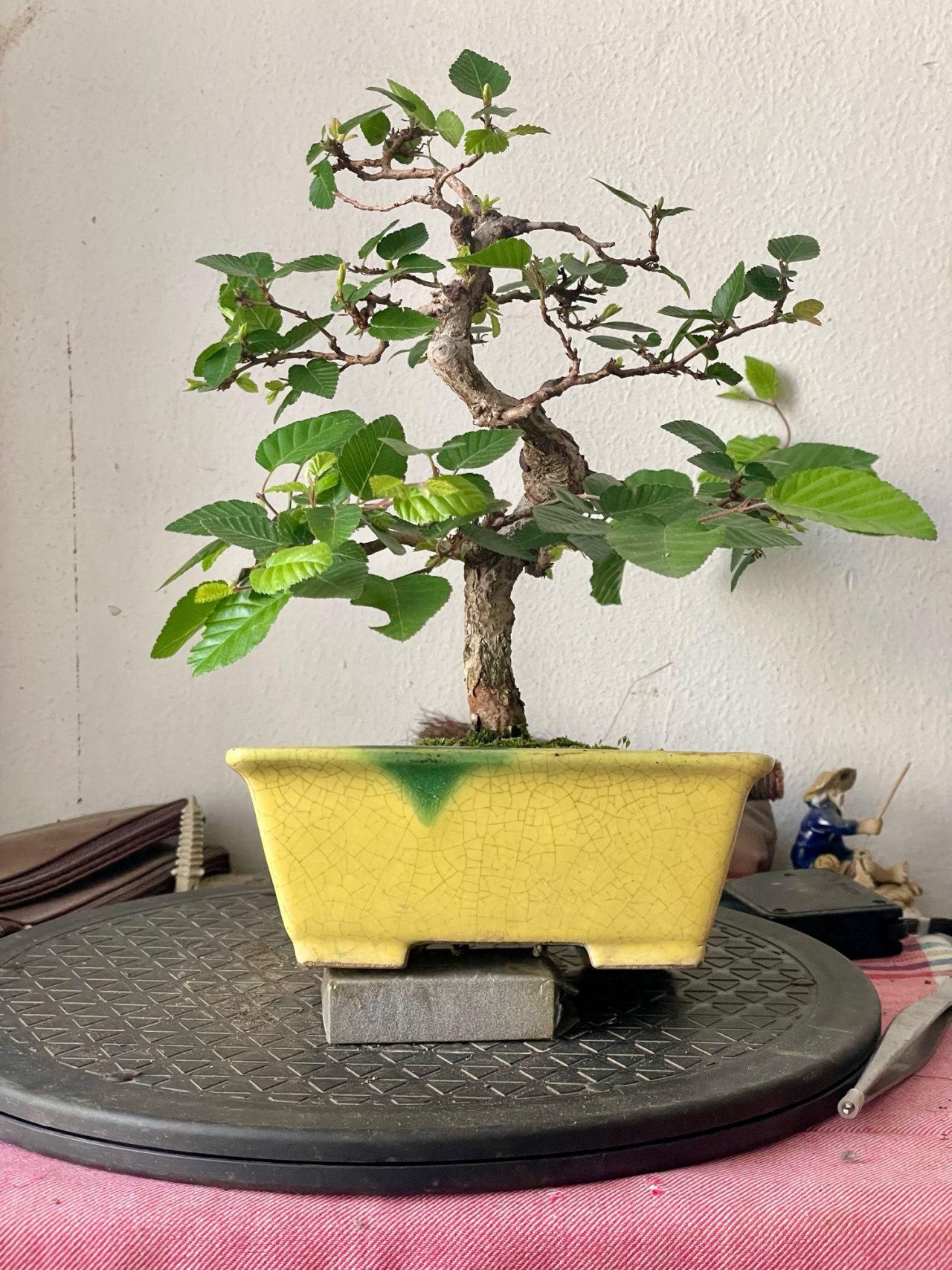 Photo 25
