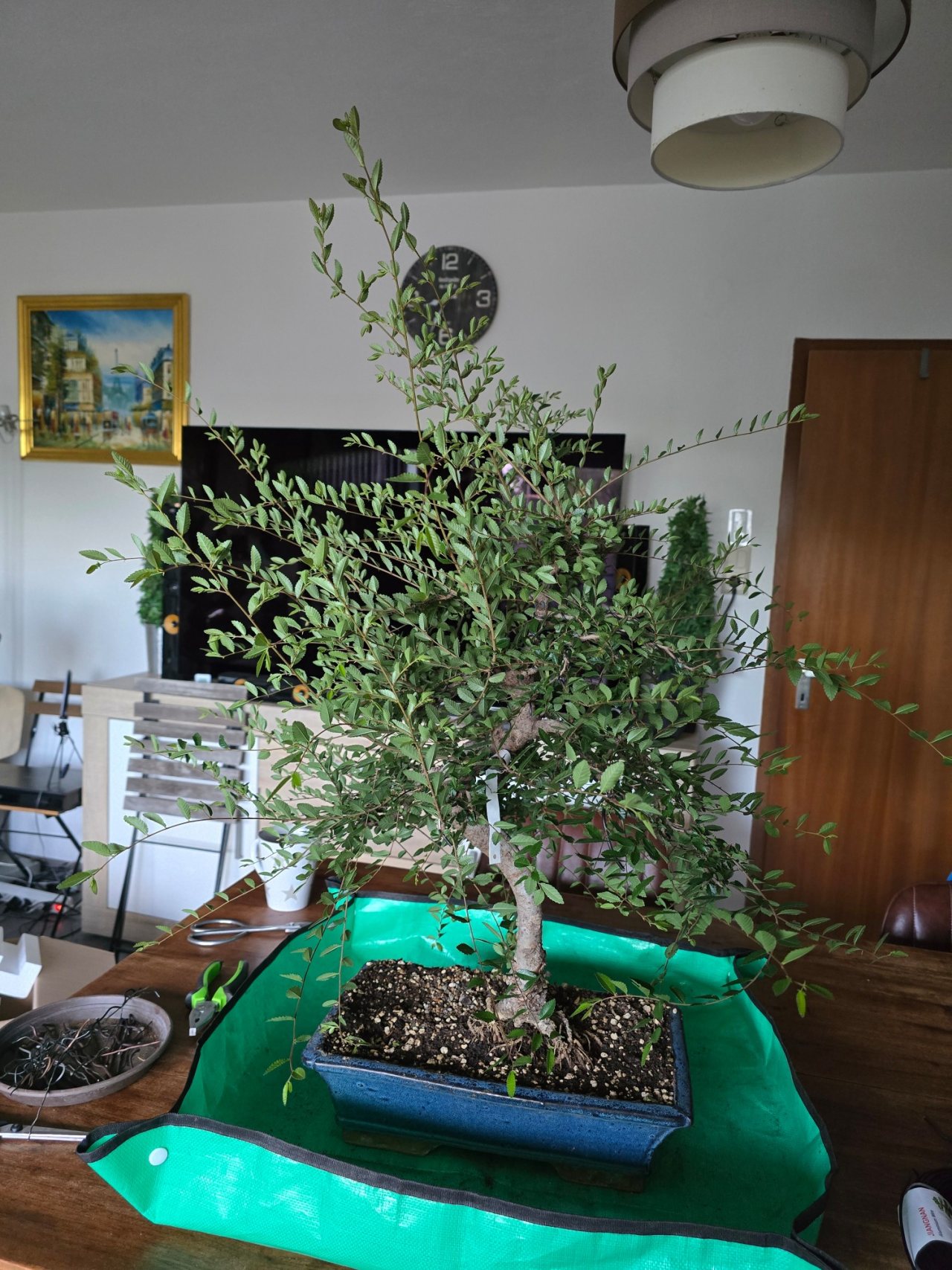 Photo 9