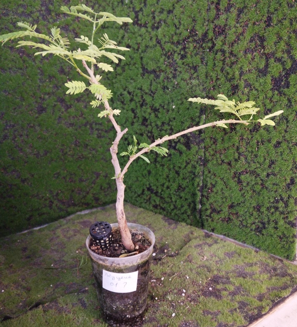 Photo 3