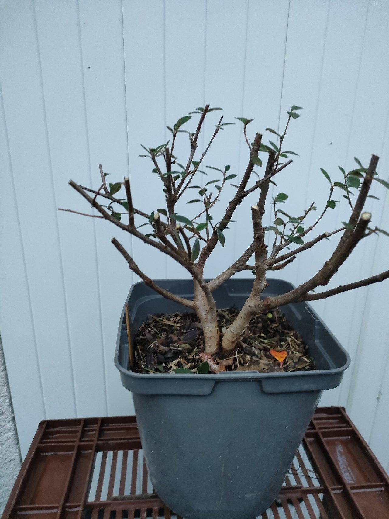 Photo 3