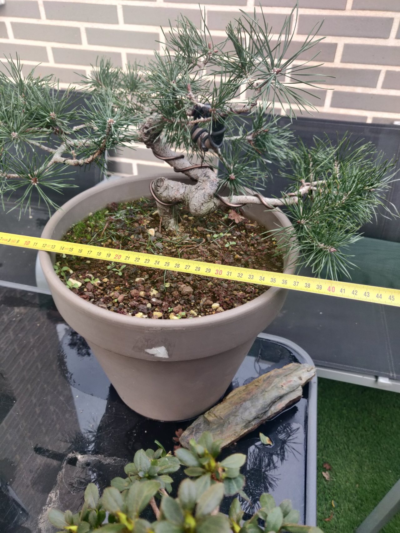 Photo 19