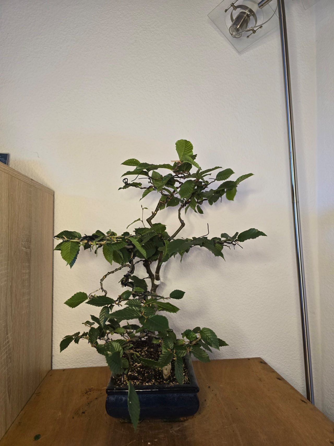 Photo 10