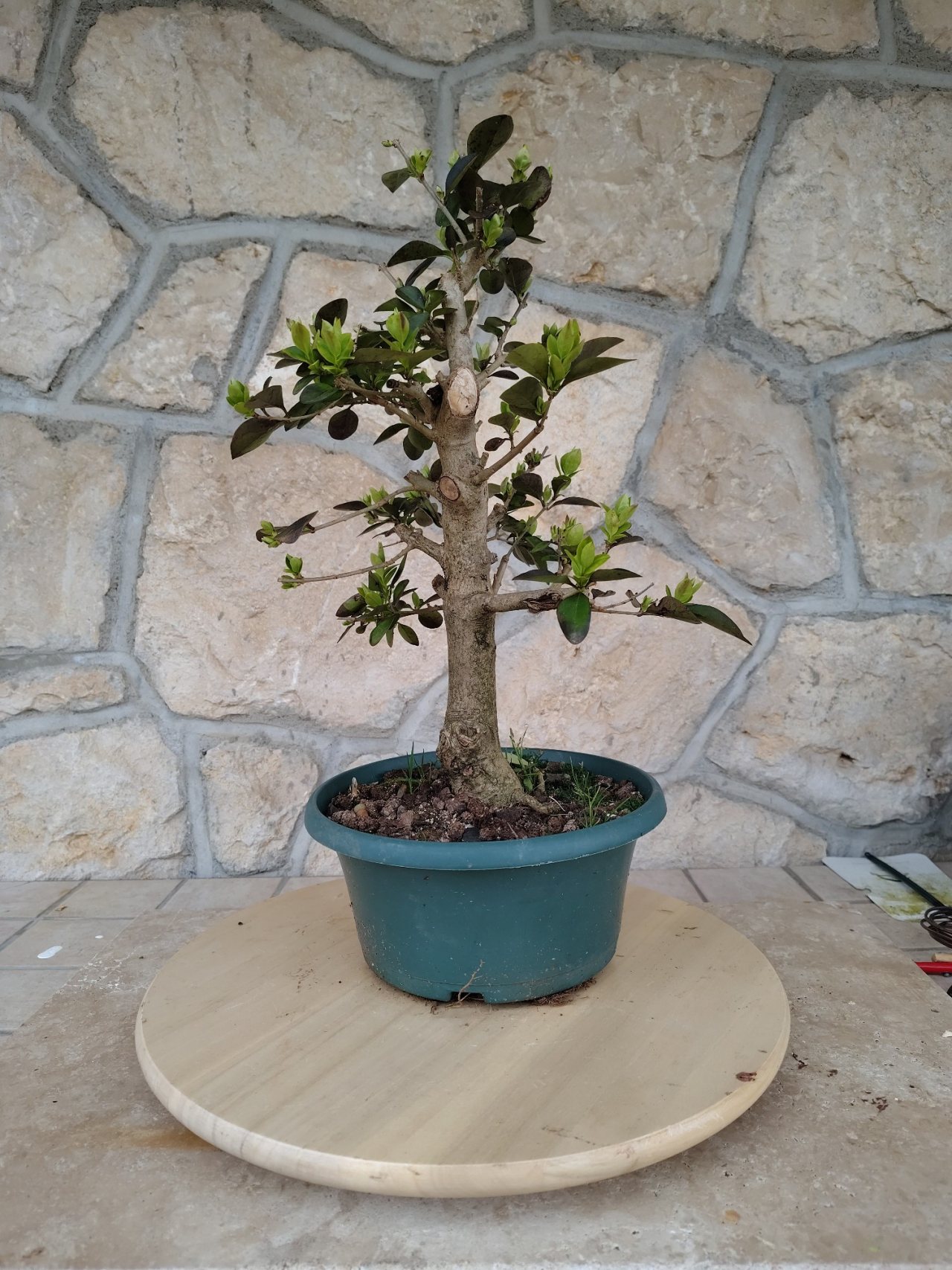 Photo 2