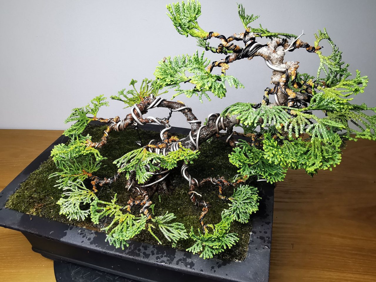 Photo 21