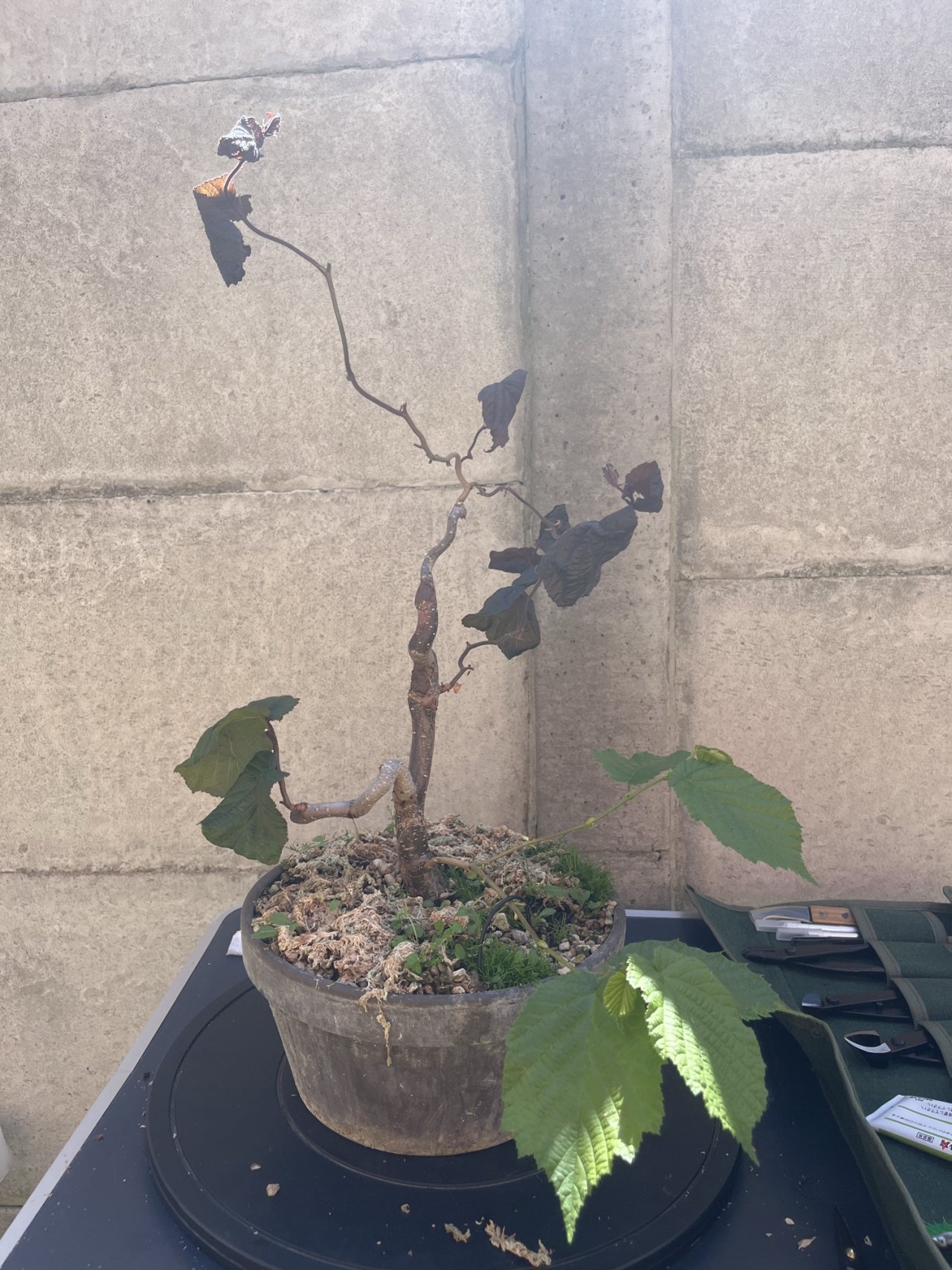 Photo 18