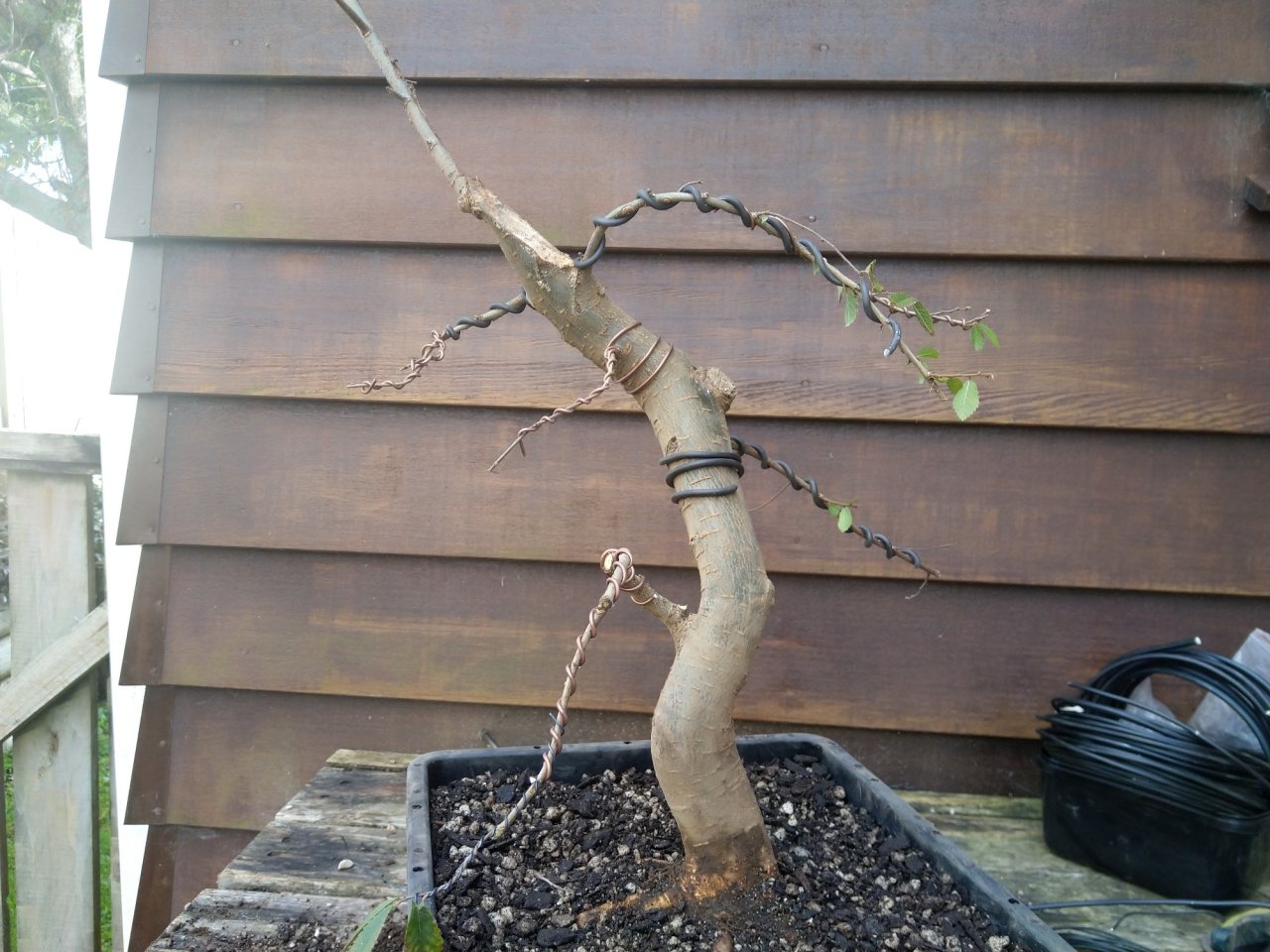 Photo 4