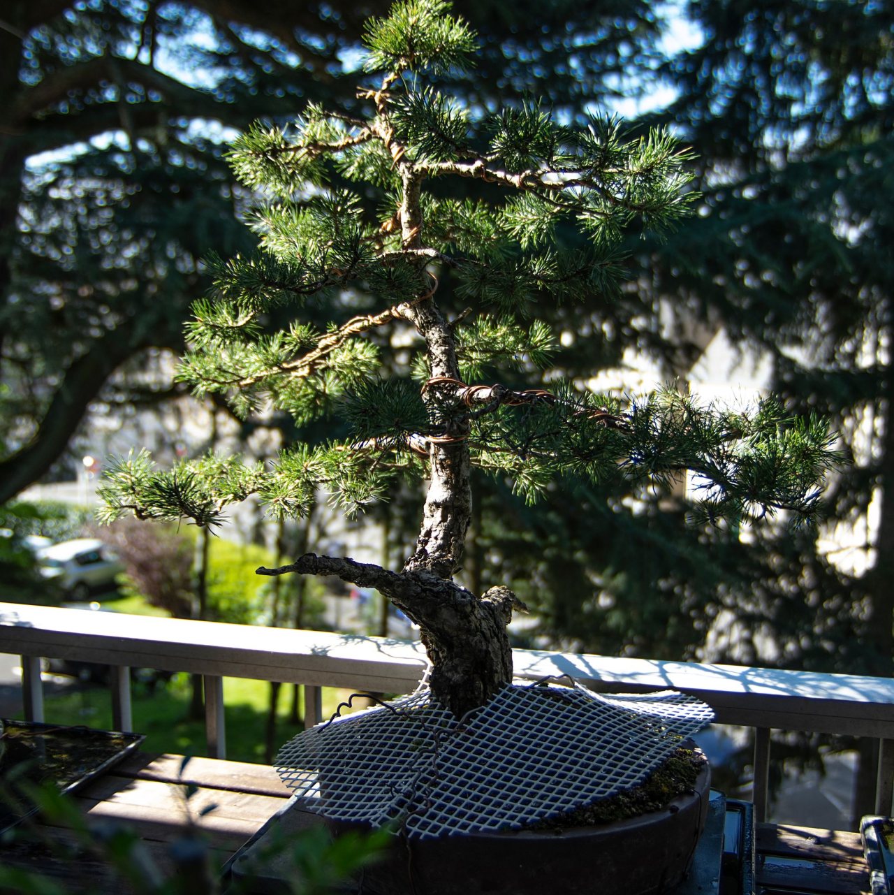 Photo 6