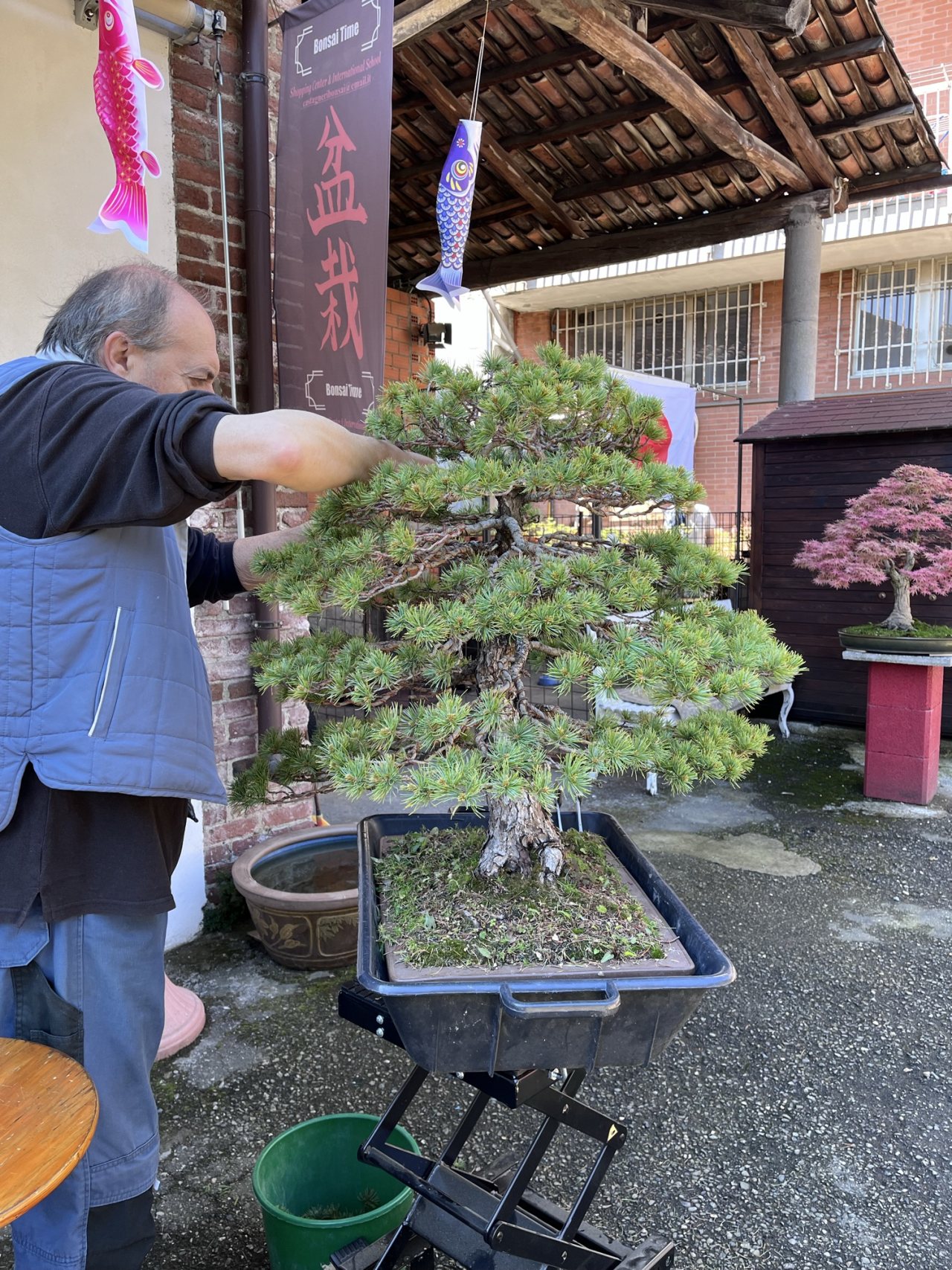 Photo 16