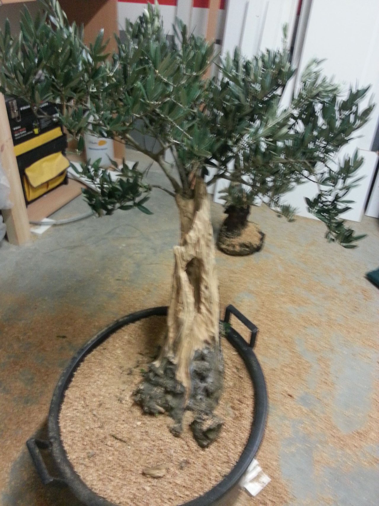Photo 3