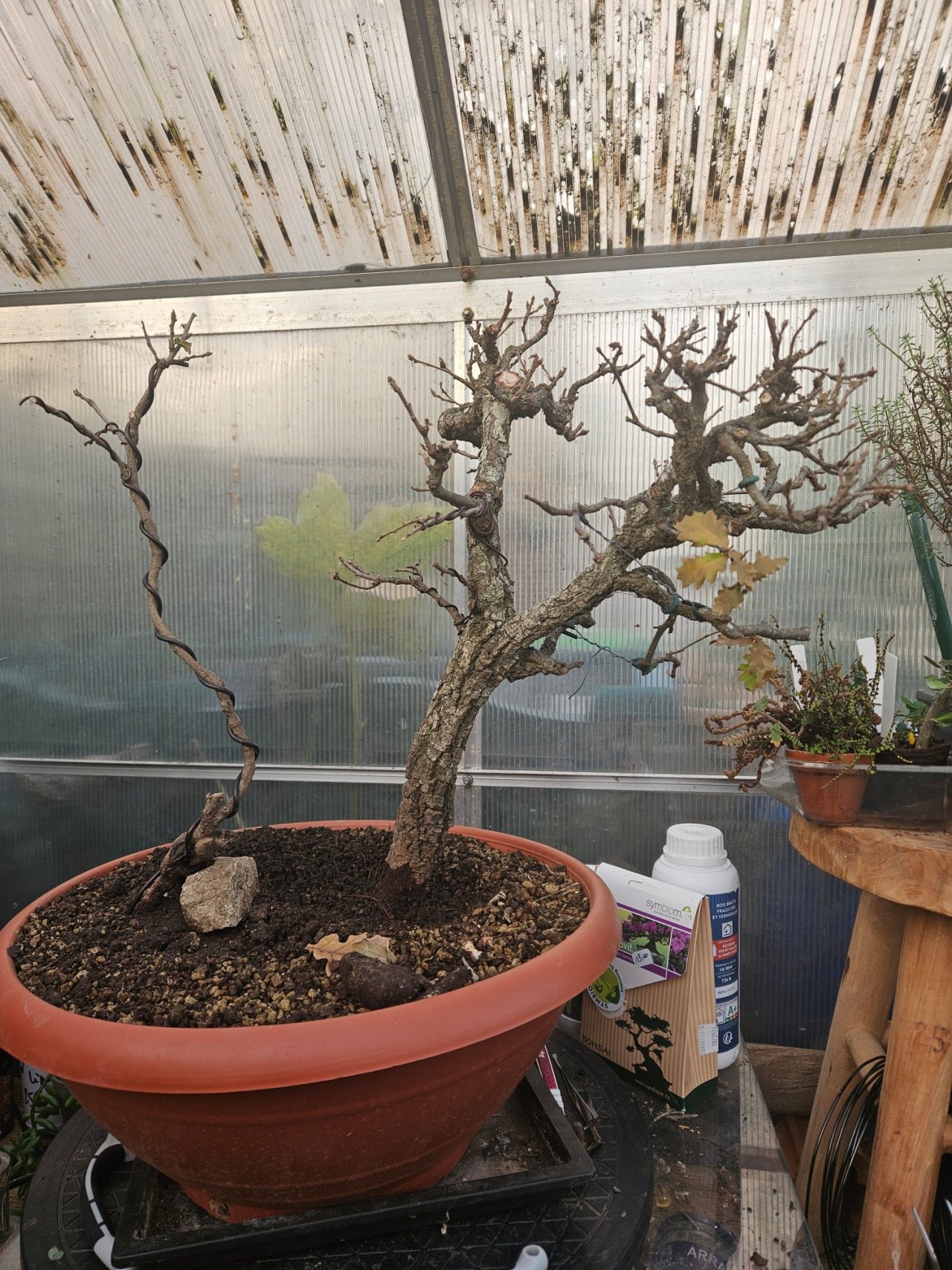 Photo 13