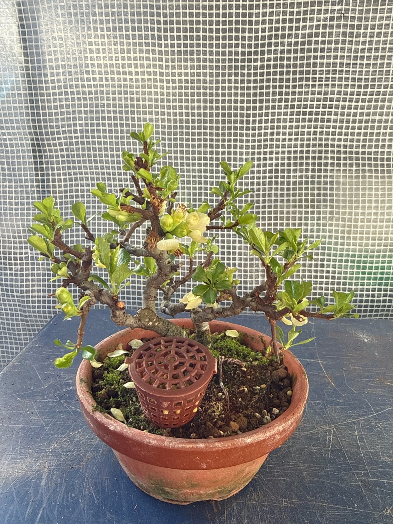 Photo 16