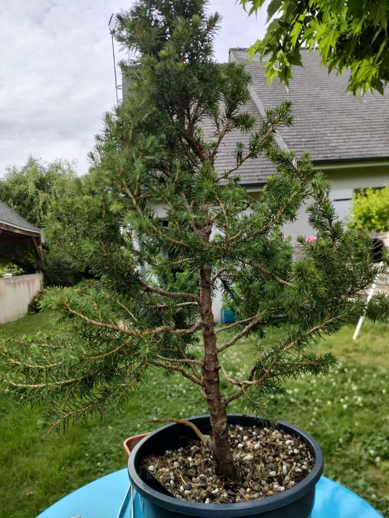 Photo 19