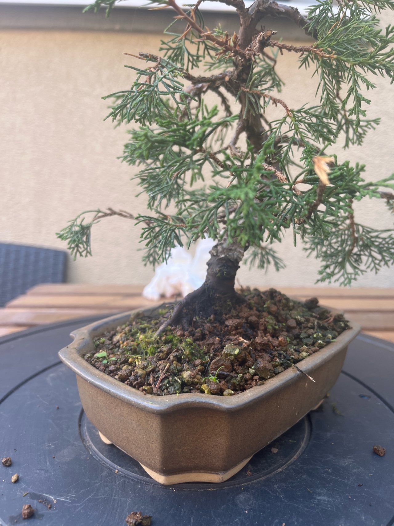 Photo 19
