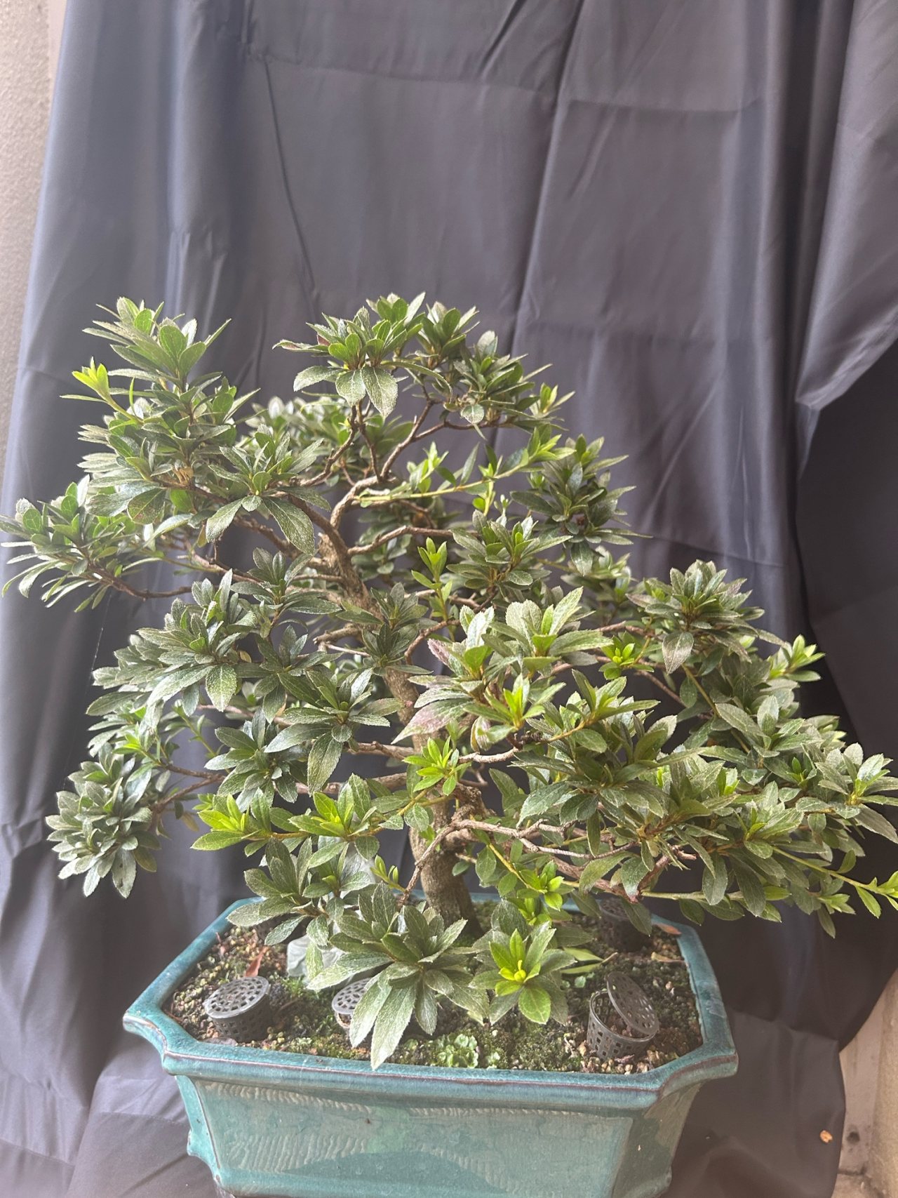 Photo 19