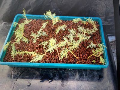 Test 5