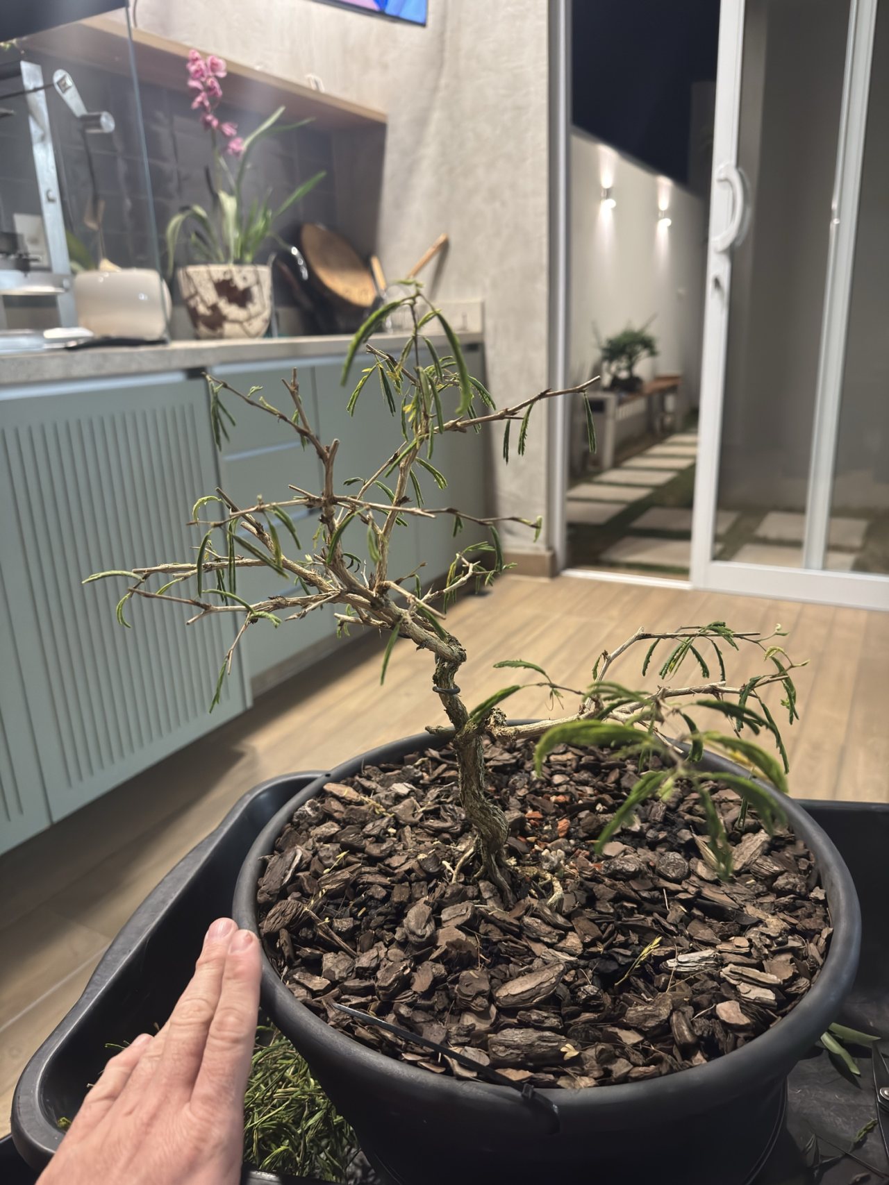 Photo 28