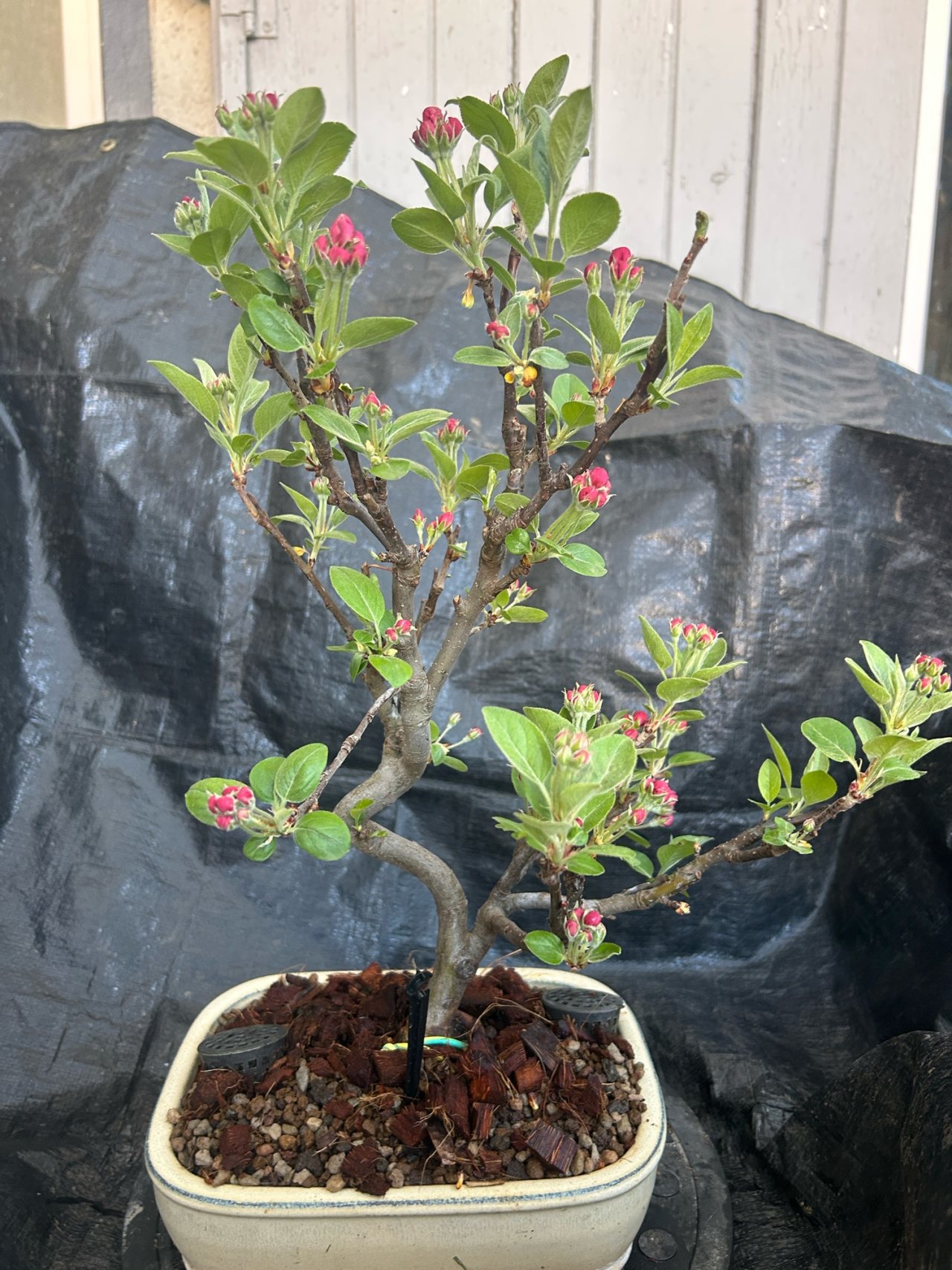 Photo 18