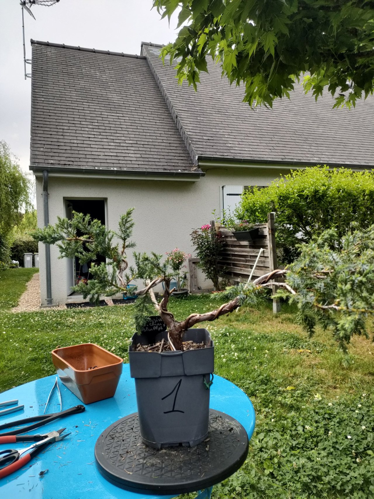 Photo 16