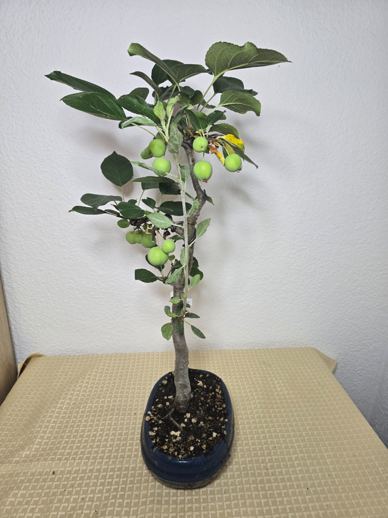 Photo 8