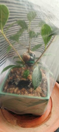 Odkład - 10.12.2025 - Photo 1/3