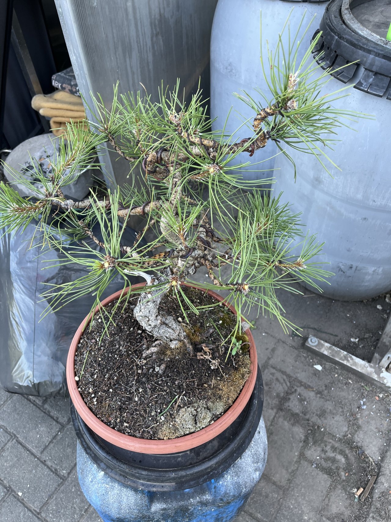 Photo 14