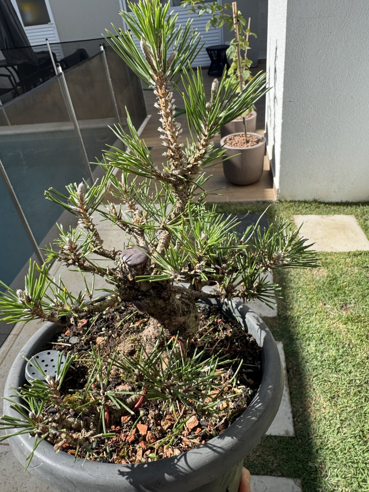 Photo 25