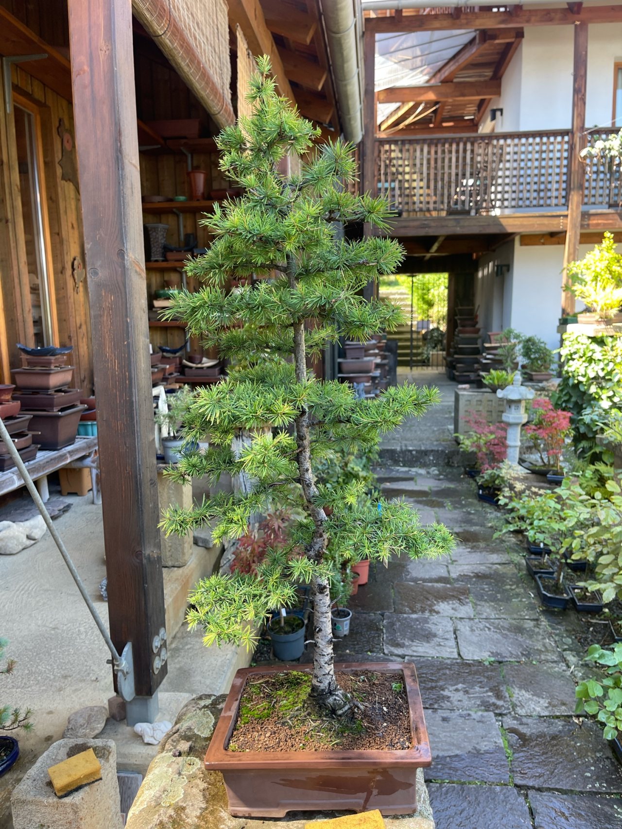 Photo 5