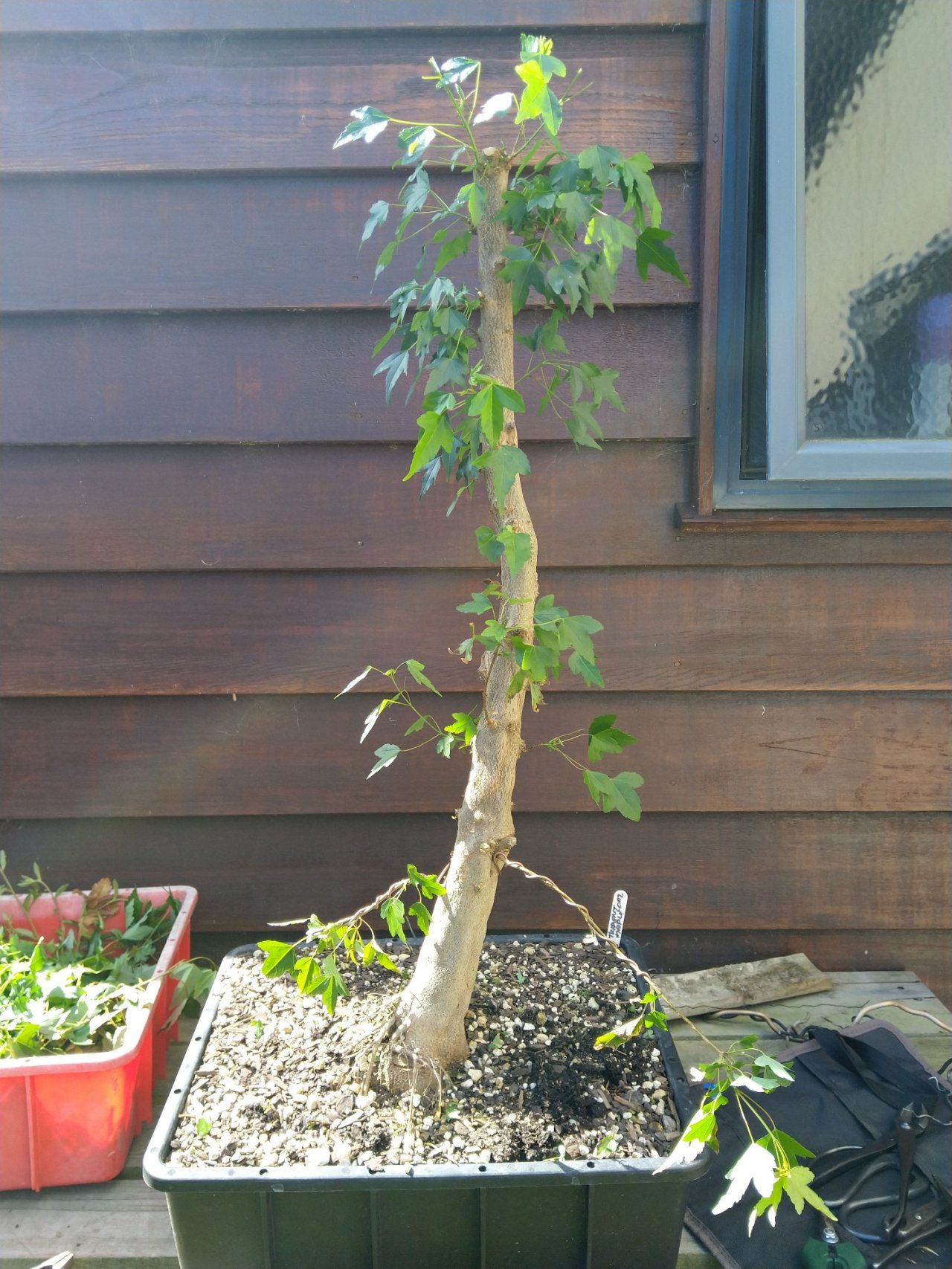 Photo 5