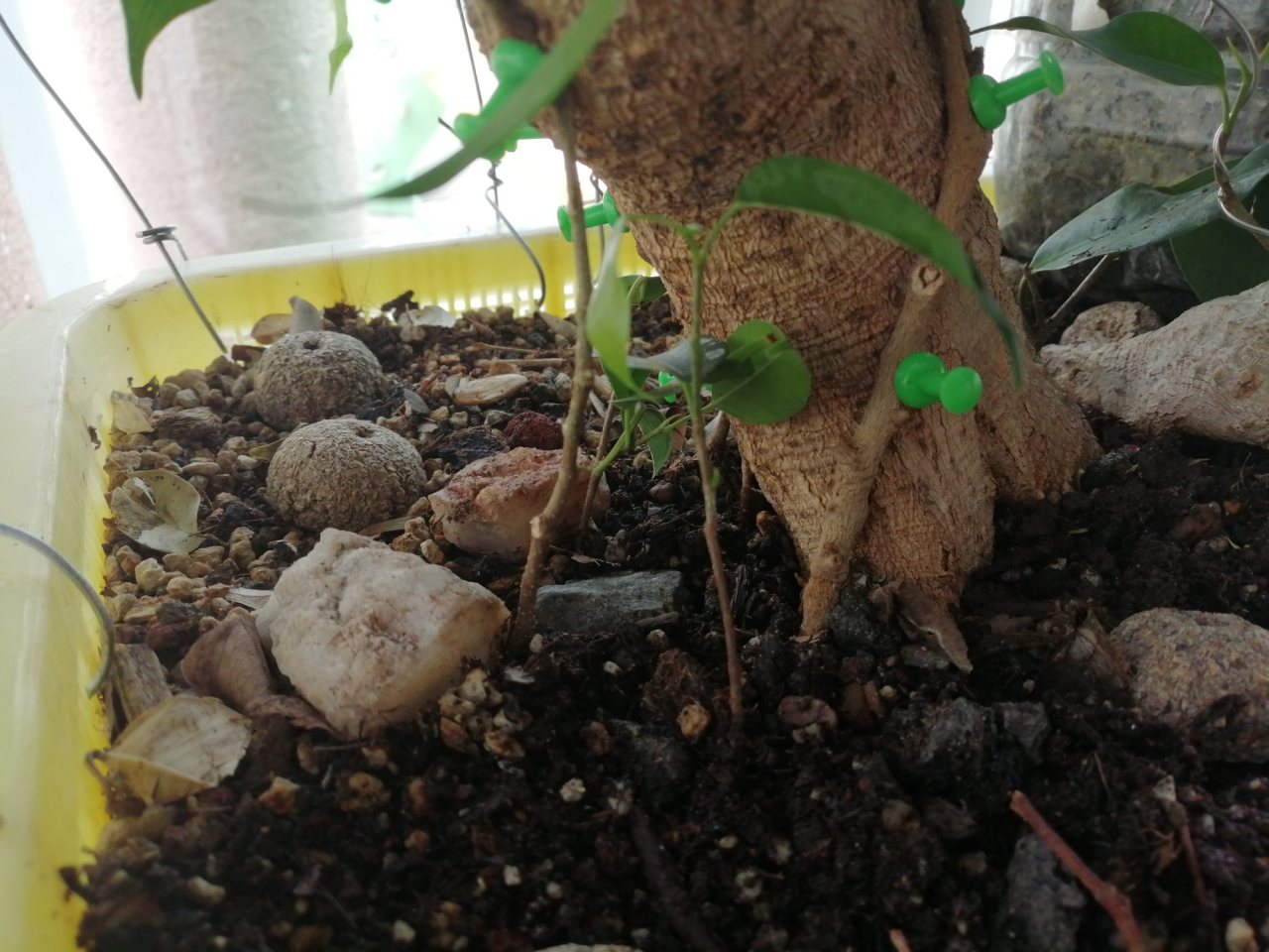 Photo 29