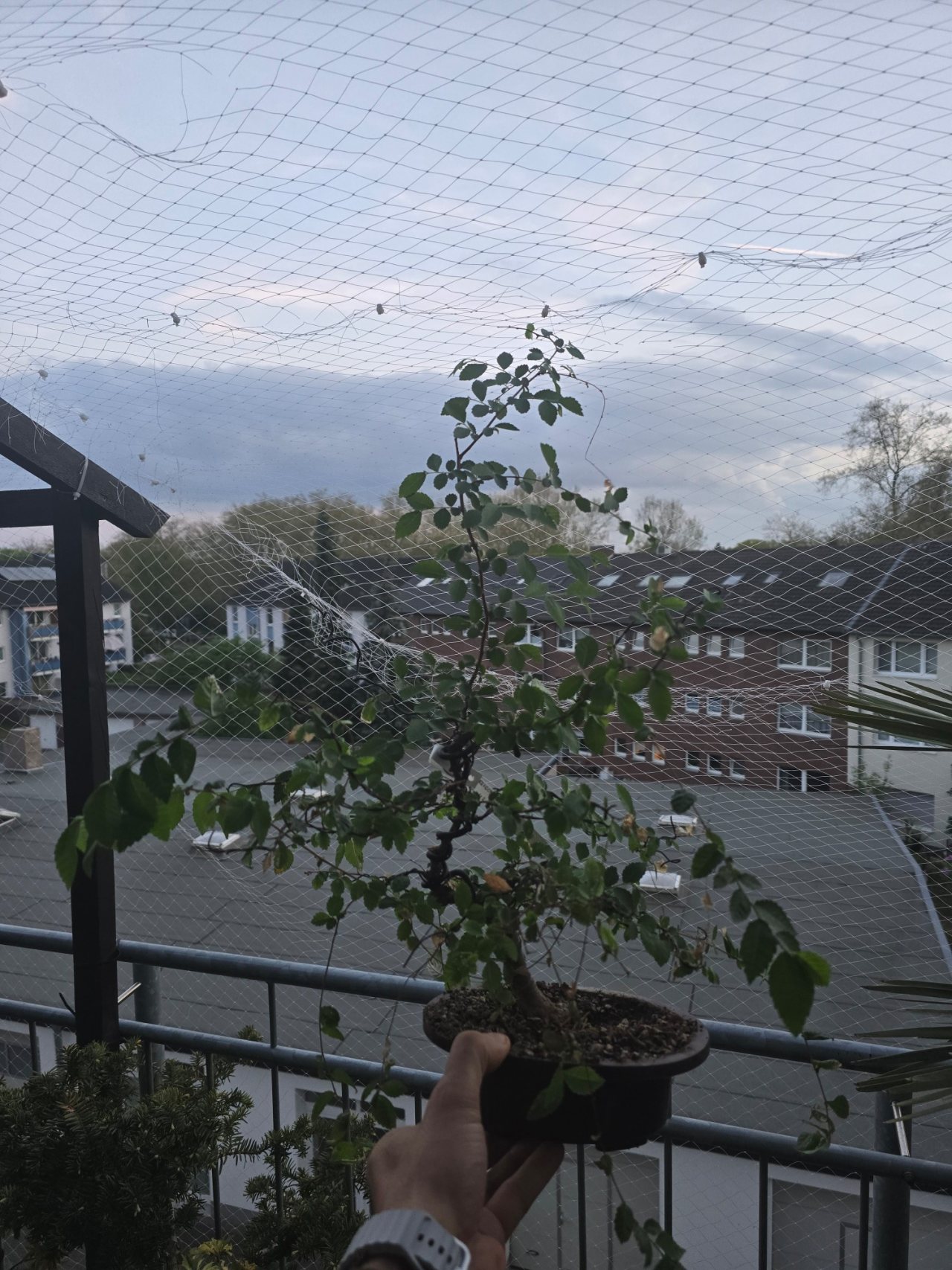 Photo 17