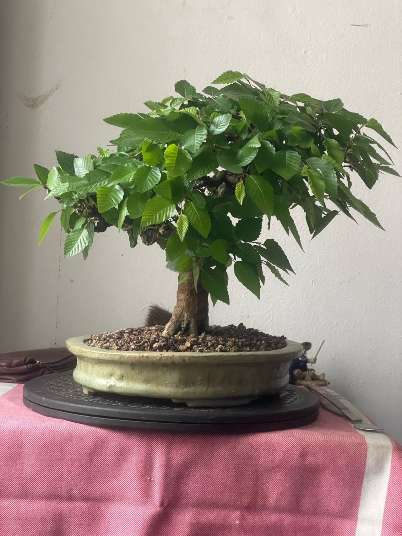 Photo 16