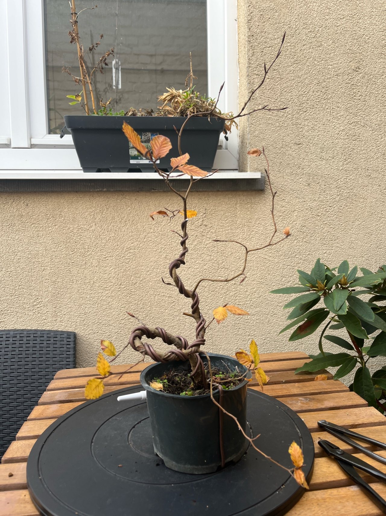 Photo 13