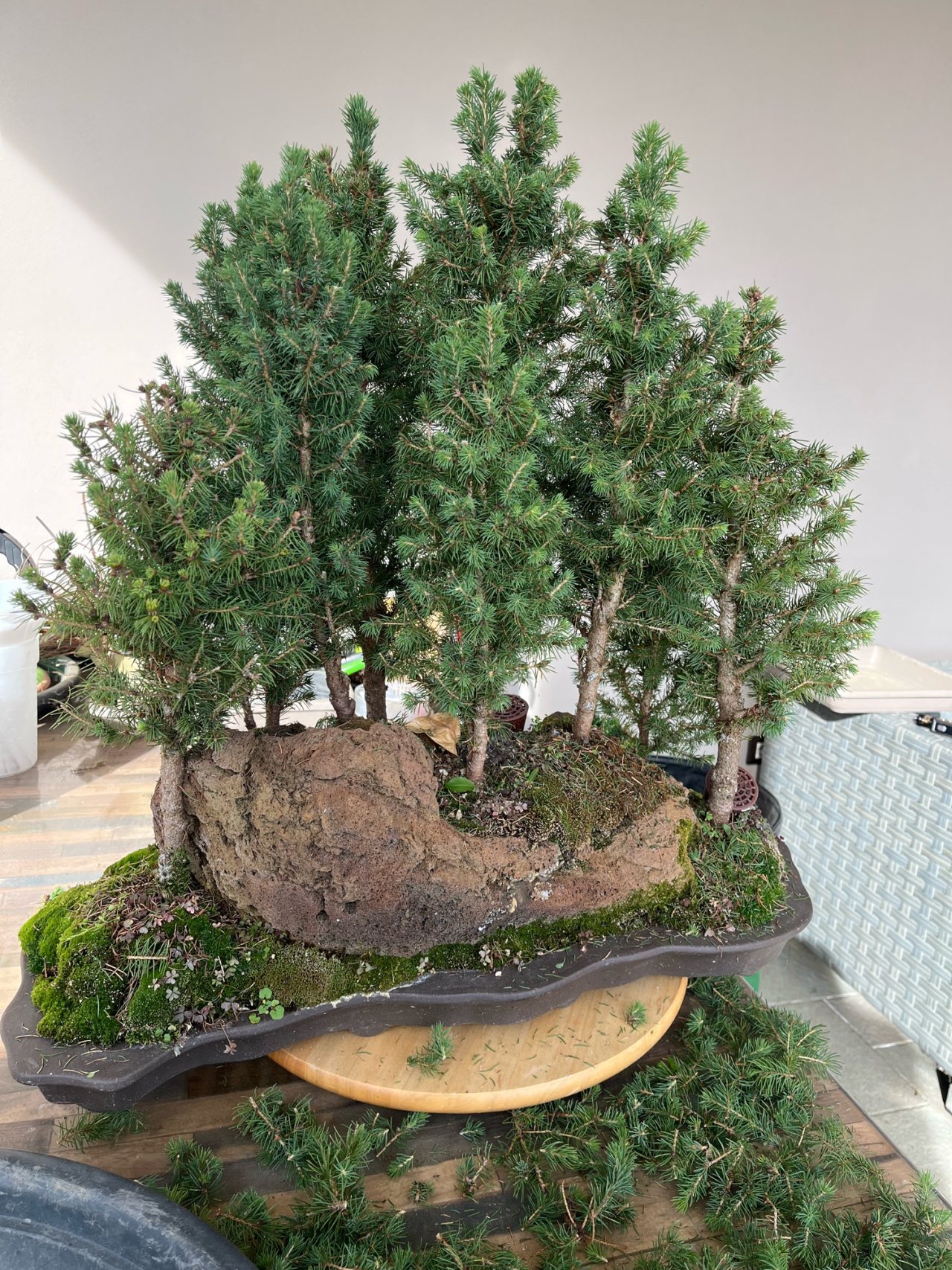 Photo 19