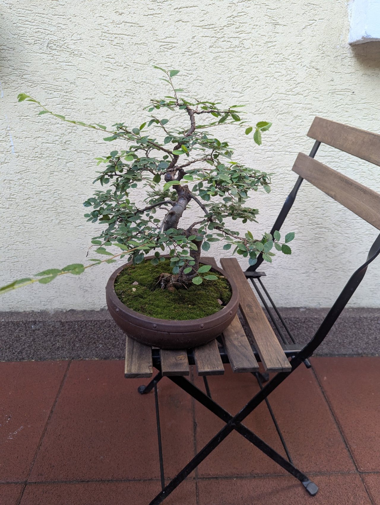 Photo 4