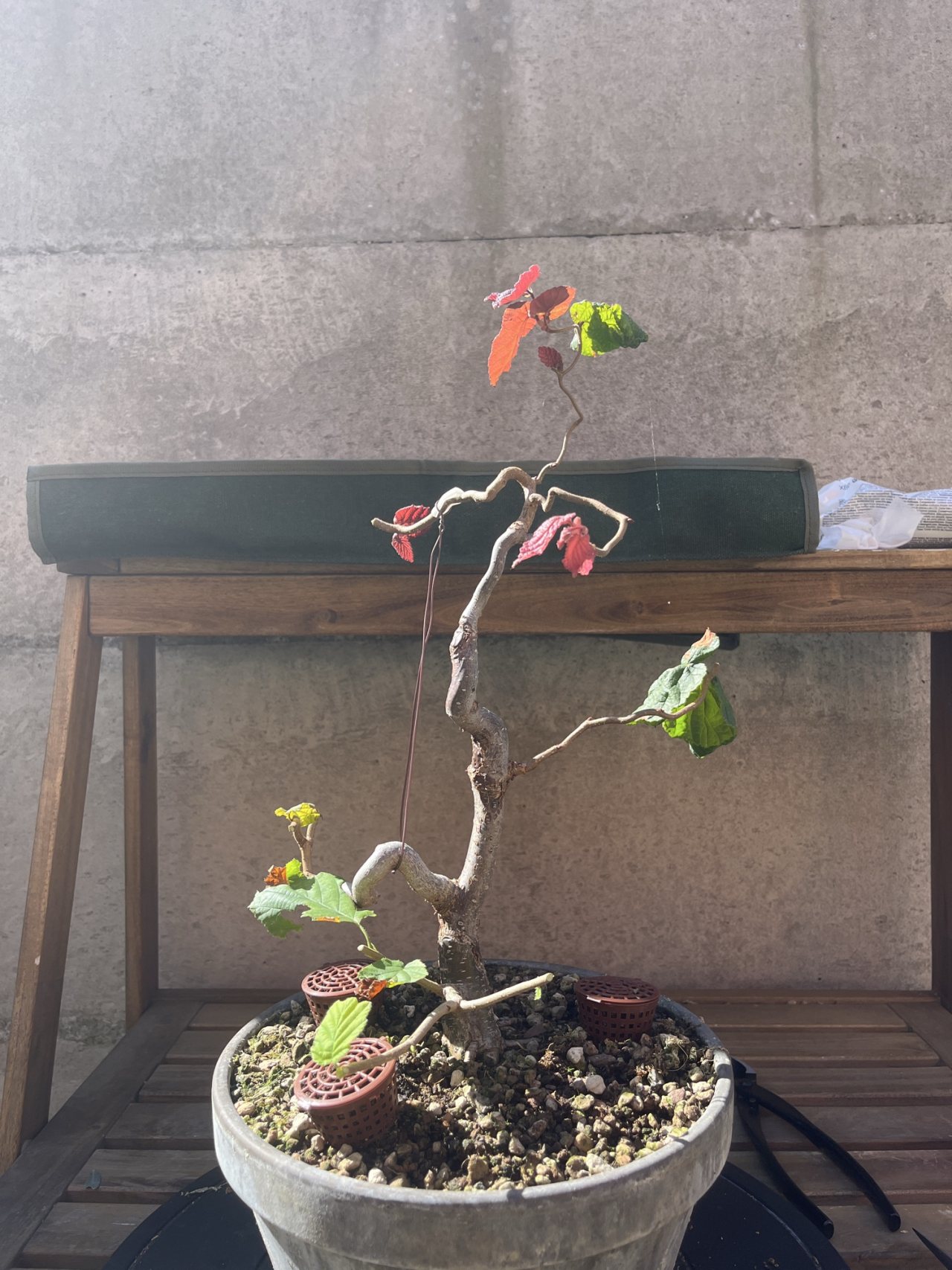 Photo 22