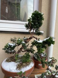 Beobachtung - 11.01.26 - Photo 1/2