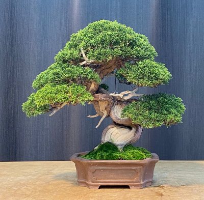 Sivina Ito “Odin” *****