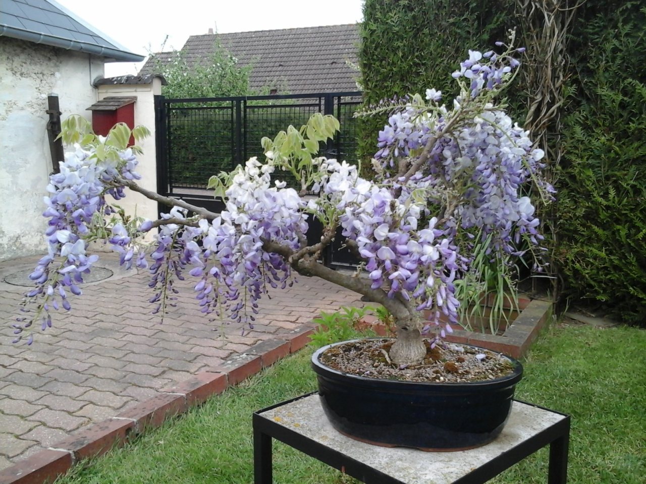 Photo 3