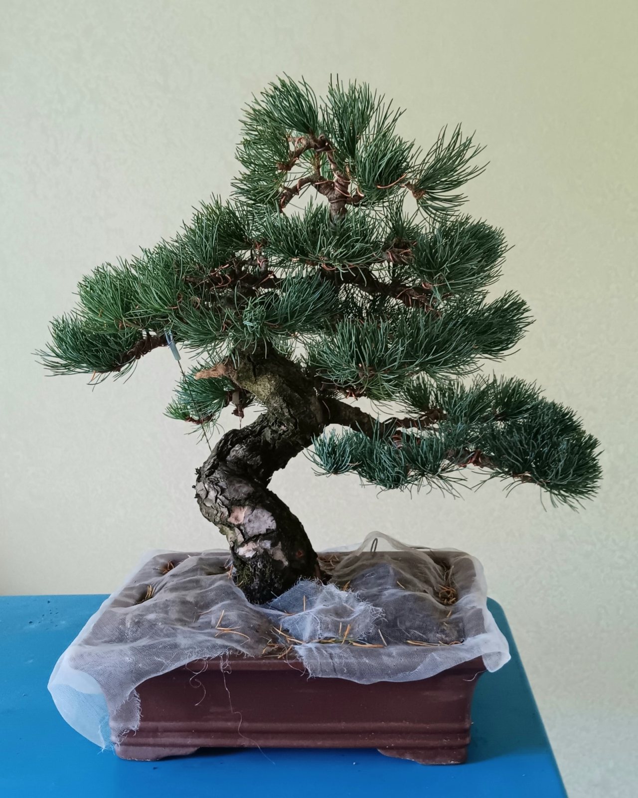 Photo 13