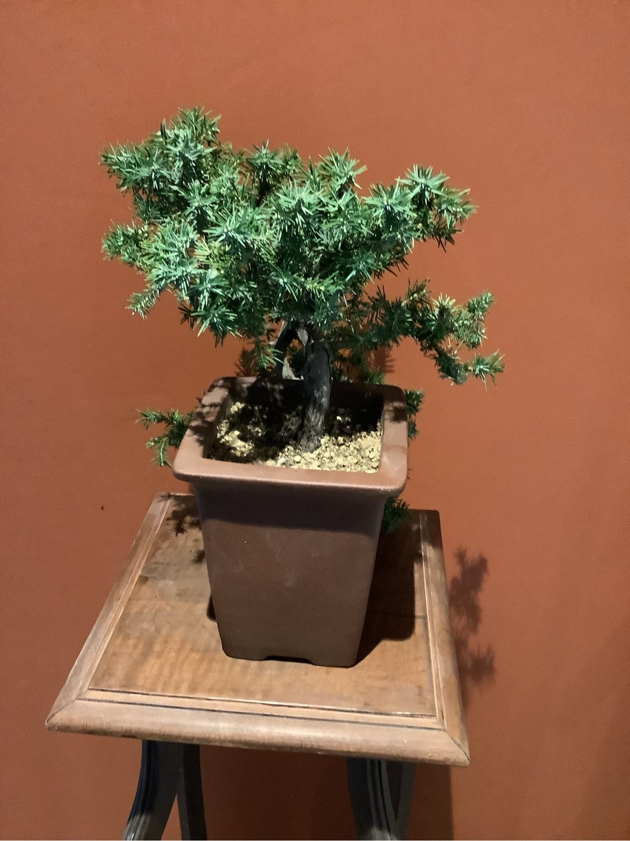 Photo 5