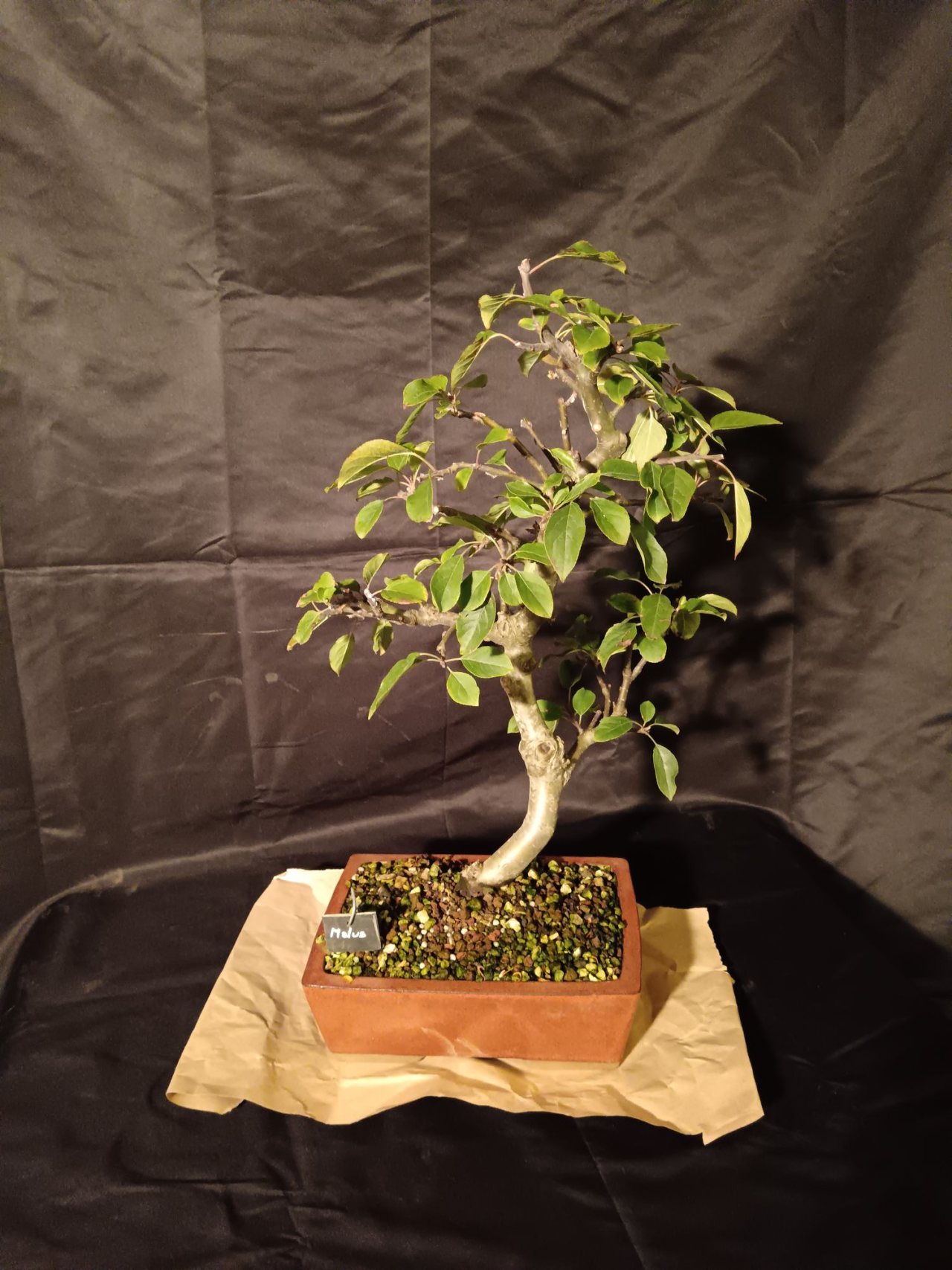 Photo 3